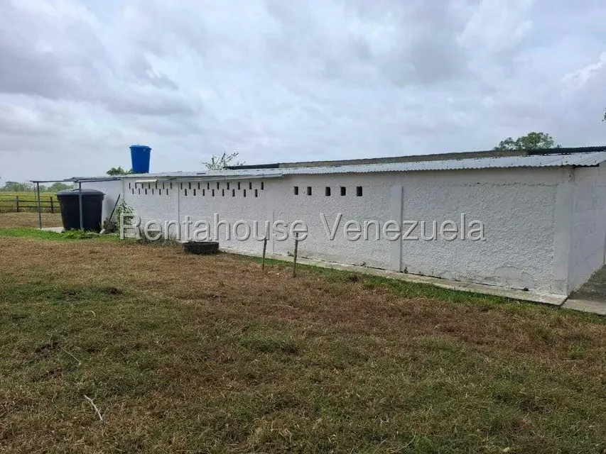 Terreno (Finca) en Venta en San Felipe, Yaracuy - 50