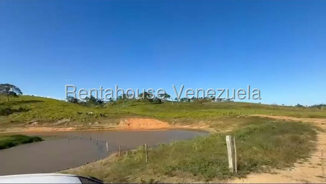 Terreno (Finca) en Venta en San Felipe, Yaracuy - 5