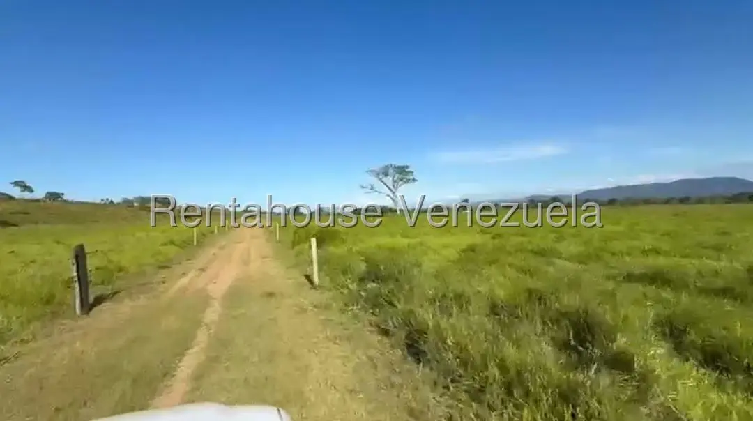 Terreno (Finca) en Venta en San Felipe, Yaracuy - 6