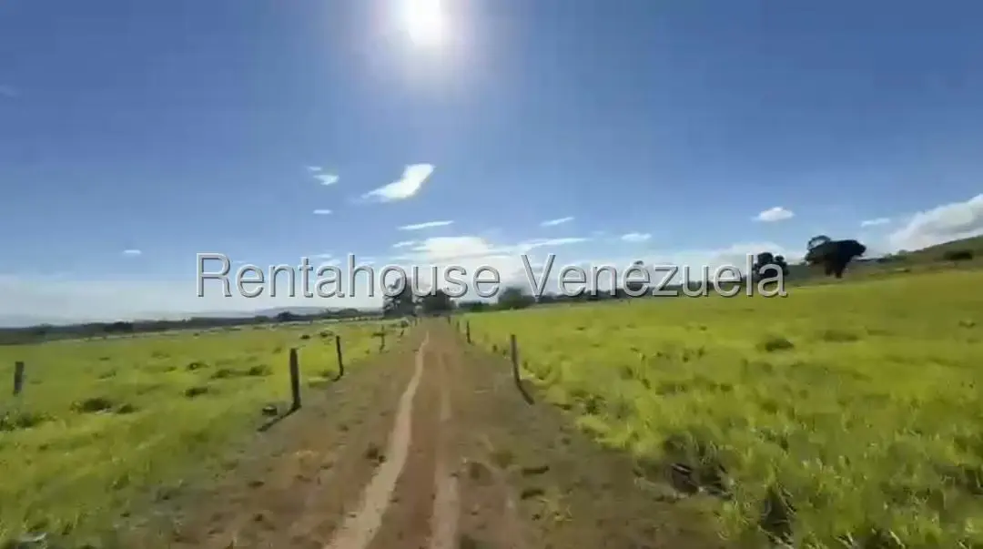 Terreno (Finca) en Venta en San Felipe, Yaracuy - 7