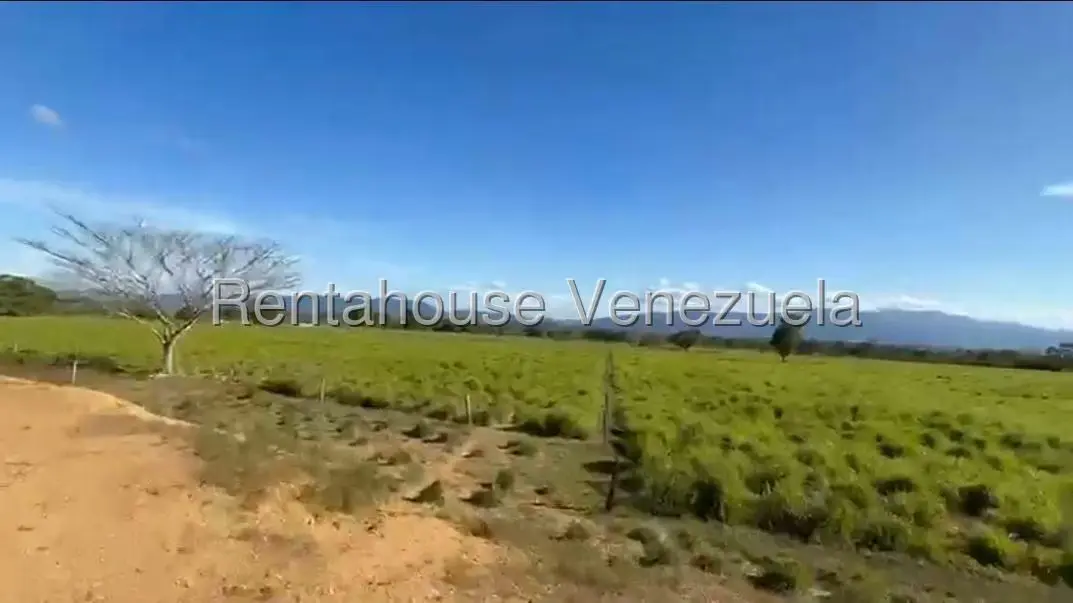 Terreno (Finca) en Venta en San Felipe, Yaracuy - 10