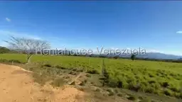 View 10