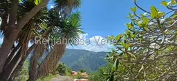 Vista 38