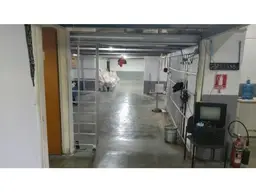 Vista 16
