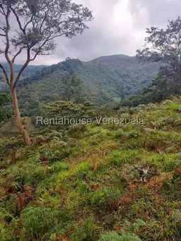 View 11