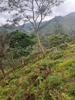 View 12