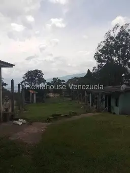 View 8