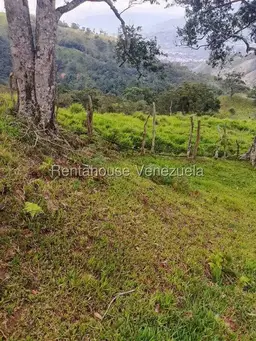 View 10