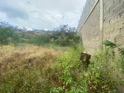 Vista 9