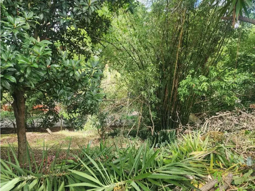 Se Vende Terreno 3.000 m2 con Casa Construida Sebucán. - 3