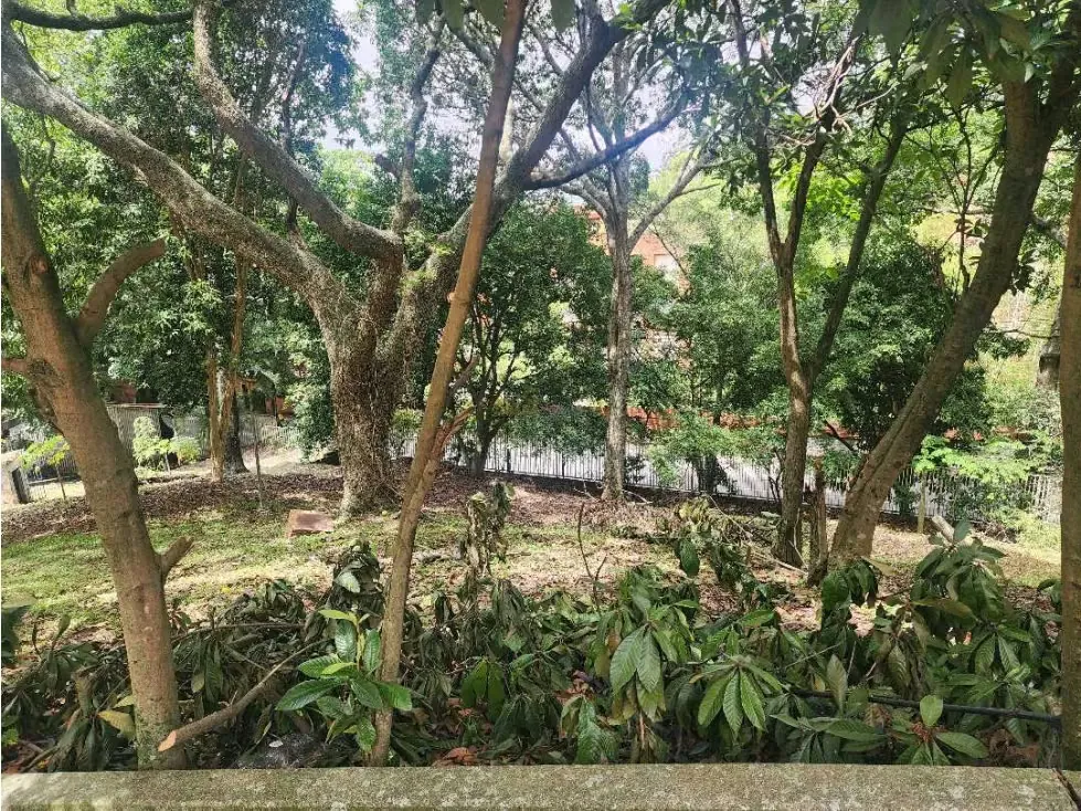 Se Vende Terreno 3.000 m2 con Casa Construida Sebucán. - 5