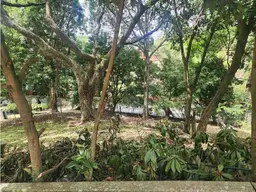View 5