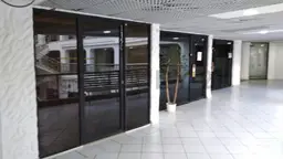 Vista 1