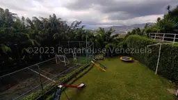 View 37