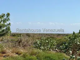 View 8