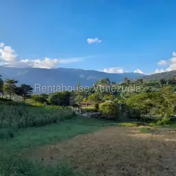 Vista 1