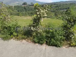 Vista 14