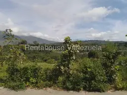 Vista 15