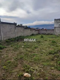 Vista 1