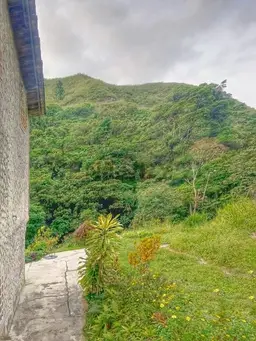 Vista 18