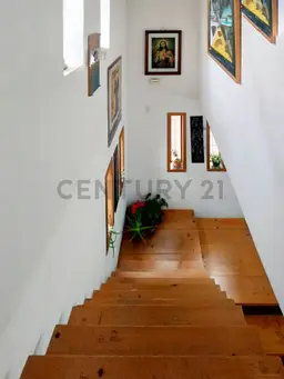 Vista 10