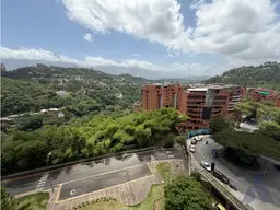 Vista 29