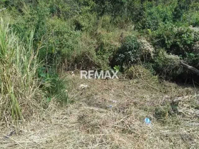 Terreno en venta palo gordo - 3