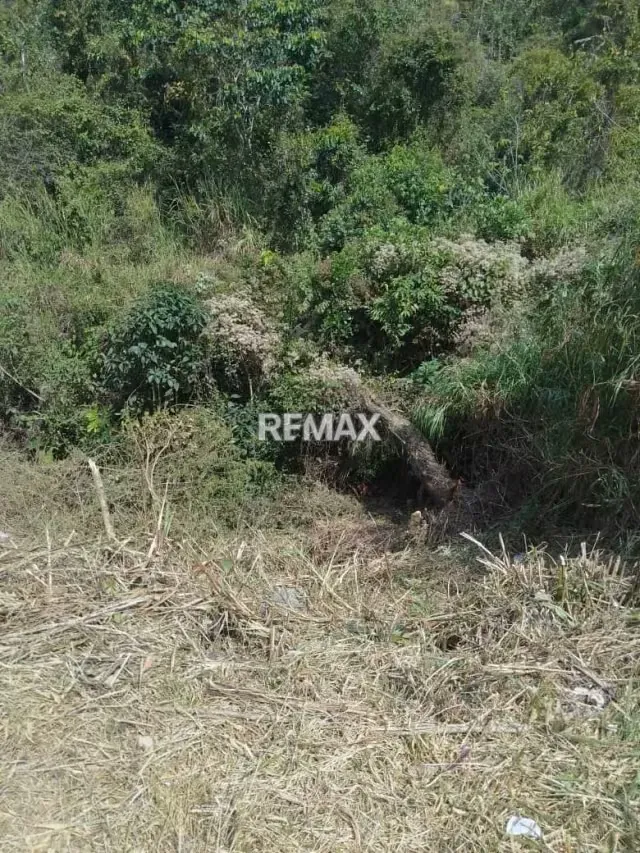 Terreno en venta palo gordo - 4