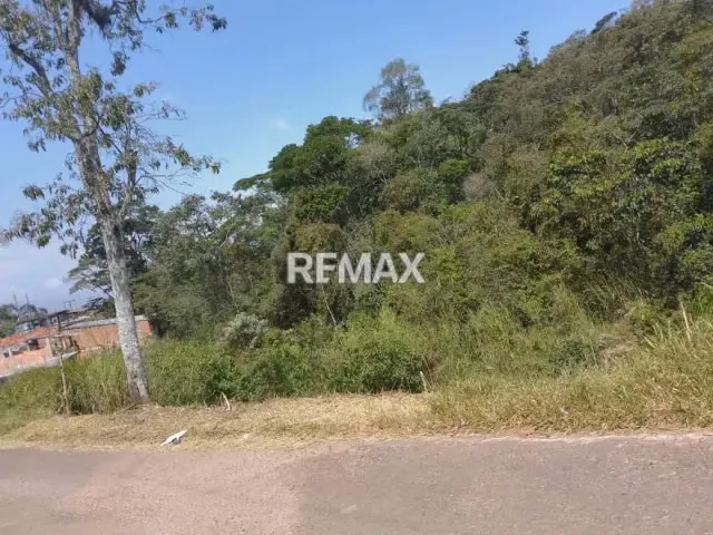 Terreno en venta palo gordo - 5