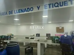 View 11