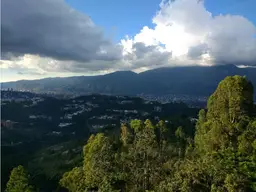 Vista 17
