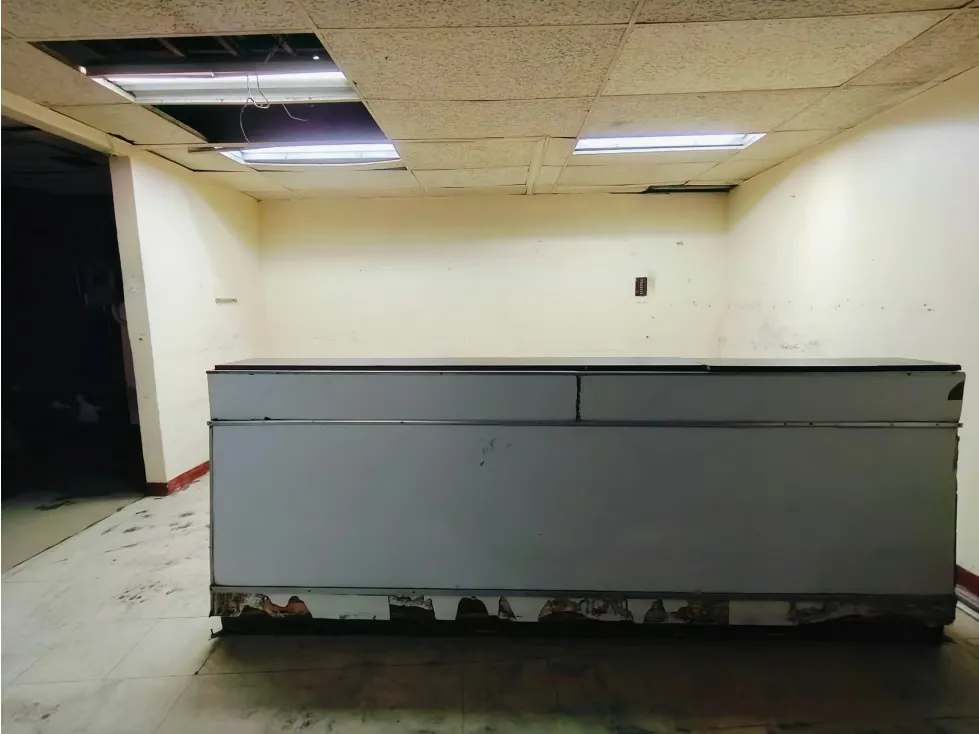Se vende Local comercial 106m² Pasaje Zingg - 15