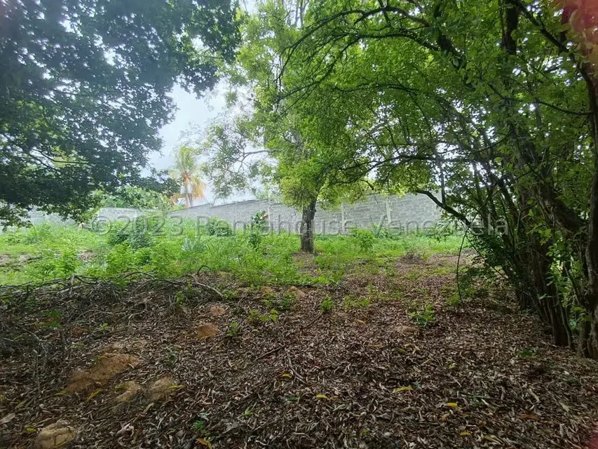 Terreno (Residencial) en Venta en Agua Viva, Lara - 12