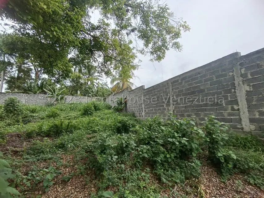 Terreno (Residencial) en Venta en Agua Viva, Lara - 14