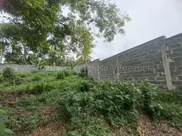 View 14