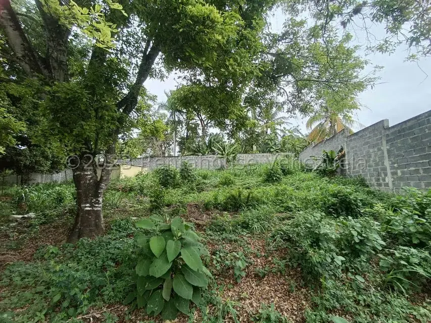 Terreno (Residencial) en Venta en Agua Viva, Lara - 15
