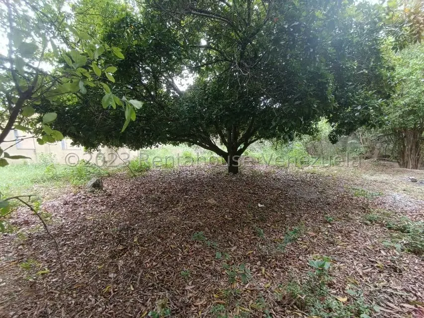 Terreno (Residencial) en Venta en Agua Viva, Lara - 17