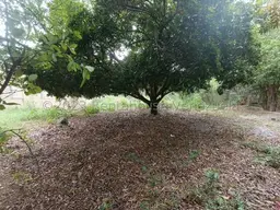 View 17