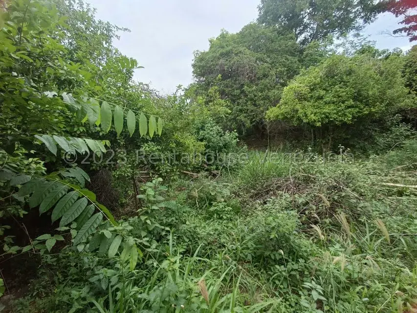 Terreno (Residencial) en Venta en Agua Viva, Lara - 19