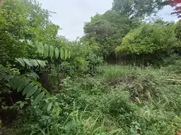 View 19