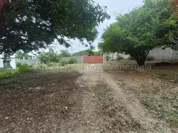 View 21