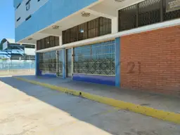Vista 1