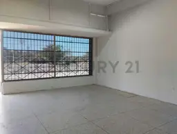 Vista 5