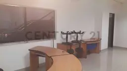 Vista 19