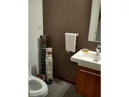 Vista 21