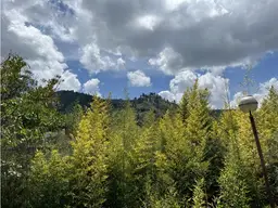 Vista 9