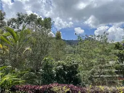 Vista 10
