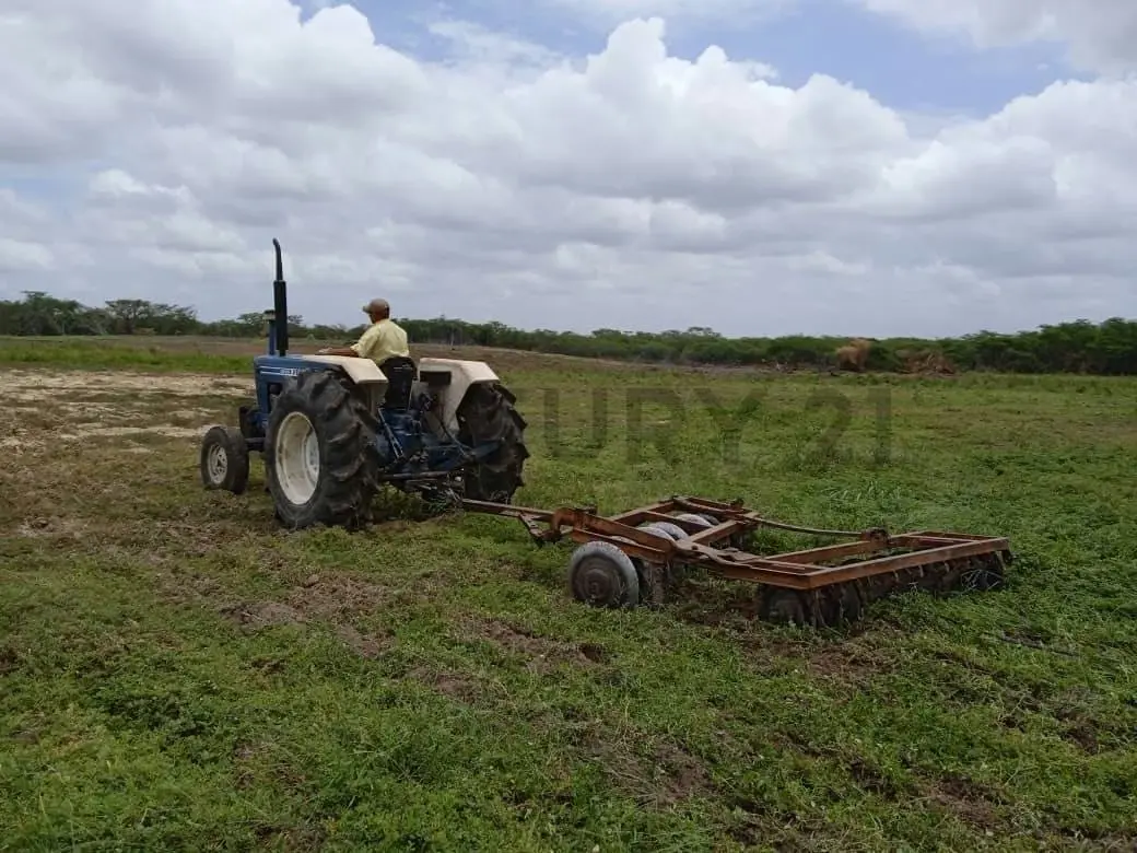 Hermosa Finca en Venta. Ubicación : San Joaquín. - 13