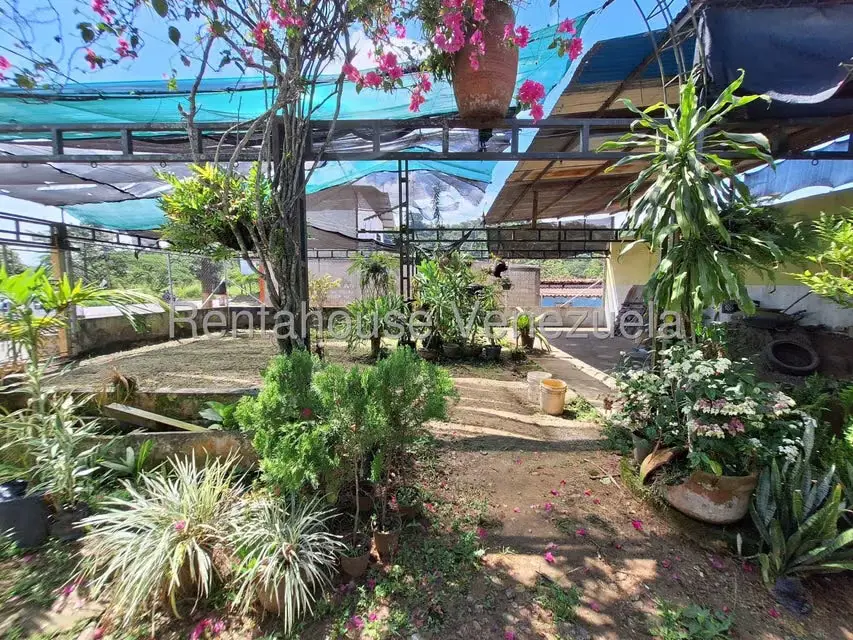 Local Comercial en Venta en Santiago de Onia, Merida - 12