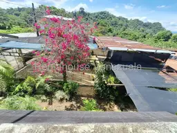 View 14